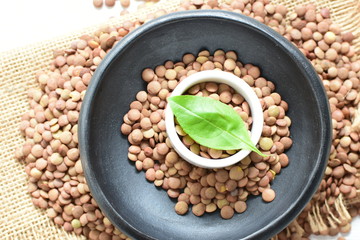 Very colorful natural lentil grains