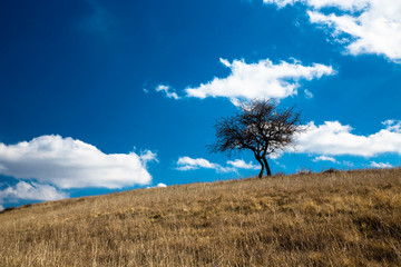 White clouds in the blue sky