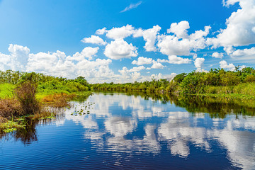 Obraz na płótnie Canvas Everglades wetland in Florida, Everglades and Francis S. Taylor Wildlife Management Area