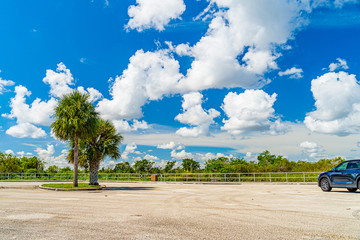 Everglades wetland in Florida, Everglades and Francis S. Taylor Wildlife Management Area, car...