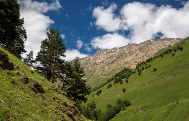 Mountain rocks. The beautiful gorge with high rocks. Nature of the North Caucasus