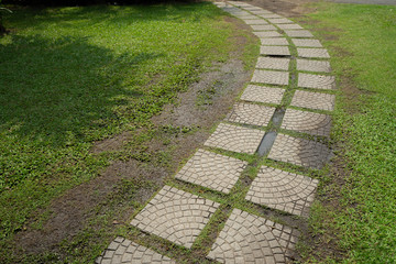 Backgrounds Grass pathway In the garden