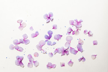 Pink and purple flower petals sprinkled on a white background