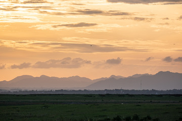 Vast and arid grasslands within the dam in the central region of Thailand