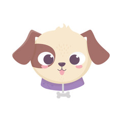 cute face dog collar with bone domestic cartoon animal, pets