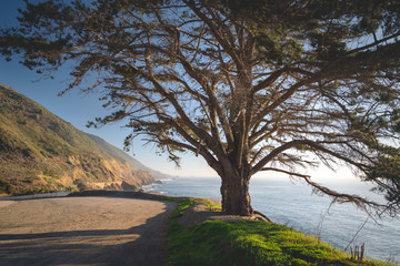 Fototapeta na wymiar Big Sur, California Coastline. Scenic landscape. Famous California State Rout 1, Monterey County