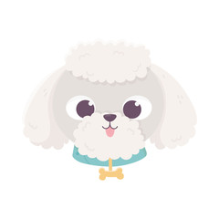 cute face dog poodle collar with bone domestic cartoon animal, pets