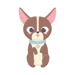 cute dog sitting domestic cartoon animal, pets