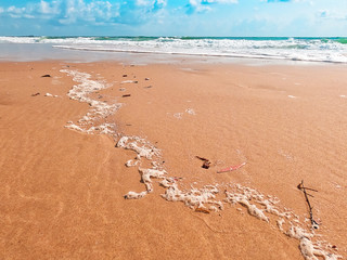 Australian sandy beach at Alecxandra Headland in Sunshine Coast on sunny summer day with blue sky and ocean waves