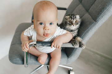 Blonde baby boy with kitten is sitting on the chair and look to camera. Top view