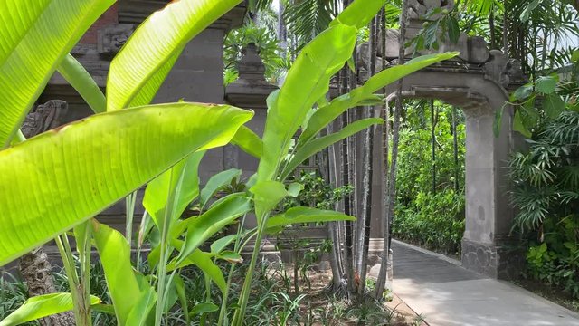 BALI, INDONSIA. 2019 Dec 10th. Street View of Ubud Central, Bali Island.