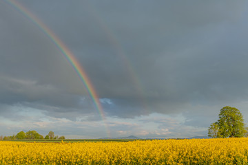 Agricultural Growth -Various Fields - Agriculture Farming Field