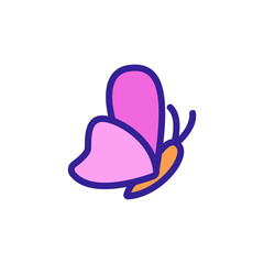 Butterfly icon vector. Thin line sign. Isolated contour symbol illustration