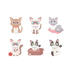 little cats different mascot domestic adorable animals, pets