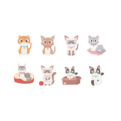 cute dog and cats different cartoon character animals, pets