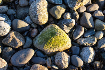 pebbles on the beach