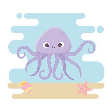 octopus starfish and shell animals life cartoon under the sea