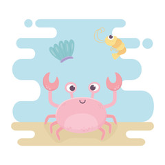 crab and squid life cartoon under the sea