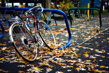 A Bicycle locked to a rack on side on street on a rainy day with yellow maple leaves on the ground