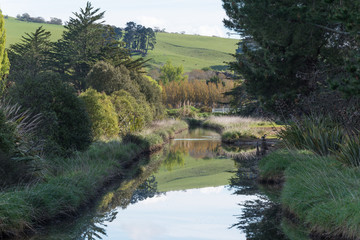 Fototapeta na wymiar Glassy calm canal at the Hawksbury Lagoon Wildlife Refuge, Waikouaiti, Otago, New Zealand. Trees and farmland reflected from the surface.