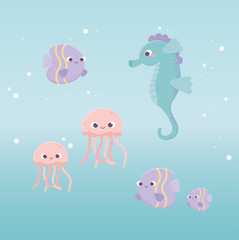 seahorse jellyfishes fishes bubbles water life cartoon under the sea