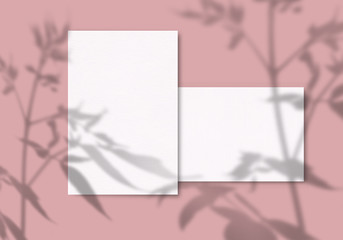A sheet of white paper on a pink background. Mockup with overlay of plant shadows . Natural light casts the shadow of field plants and flowers from above