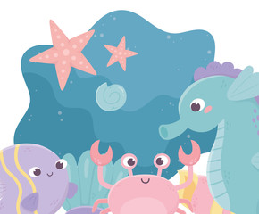 starfishes seahorse crab algae snail life cartoon under the sea