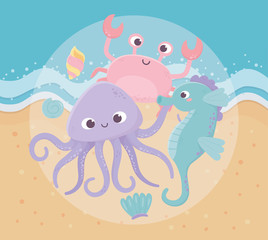 seashore octopus seahorse crab algae sand life cartoon under the sea