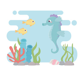 seahorse fishes life coral reef cartoon under the sea