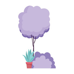 tree bush and potted plant decoration on white background