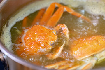 香箱かにのゆであげ