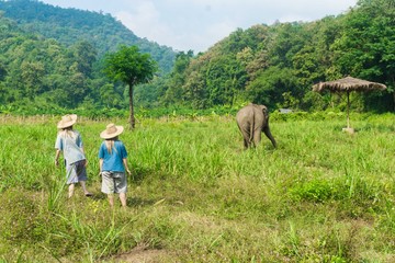 Tourist Elephant sanctuary in Thailand
