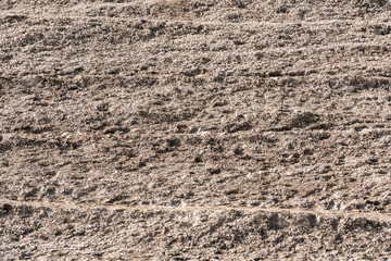 Dried soil after drought background