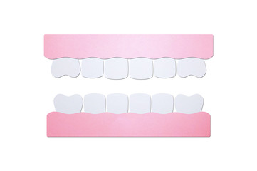 model tooth of healthy teeth - dental cartoon paper cut style