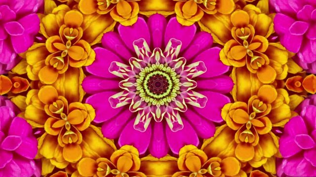 Looping colorful floral mandala pattern background