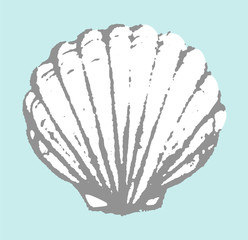 Seashell hand drawn. Vector illustration.