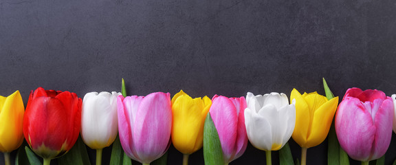 Multicolored tulips in a row against a dark gray stucco wall.