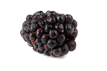 Blackberry isolated on white