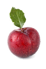 Plum with leaf