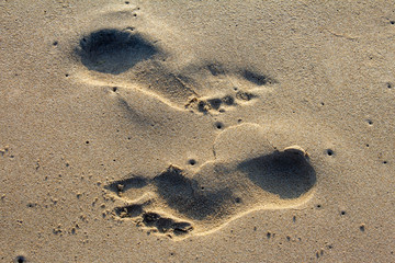 Footprints of human feet in beach sand.