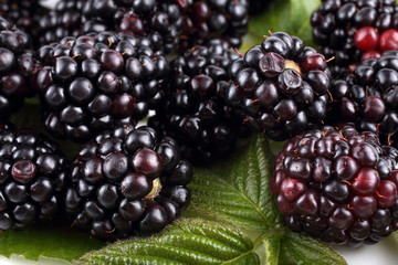 Blackberry background. Macro