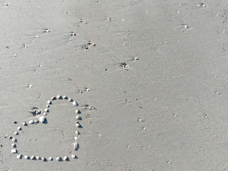 closeup Sea shell make arranged hearts shape on gray sand beach with sun light on summer