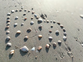 closeup Sea shell make arranged hearts shape on gray sand beach with sun light on summer