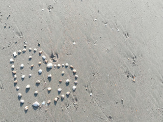 closeup Sea shell make arranged hearts shape on gray sand beach with sun light on summer