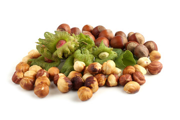 Hazelnuts and peeled hazelnuts isolated on white