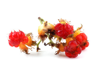 Korean raspberry (Rubus crataegifolius). Far eastern delicacy
