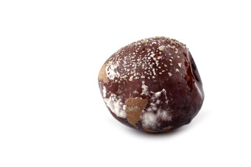 Rotten plum isolated on white