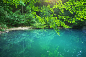 Forest and calm blue lake.