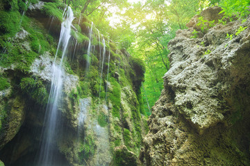 Waterfall into the canyon forest.