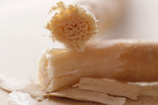 Miswak plant.  Vegetable toothbrush. Dental hygiene. Medicinal plants.Miswak sticks peeled 